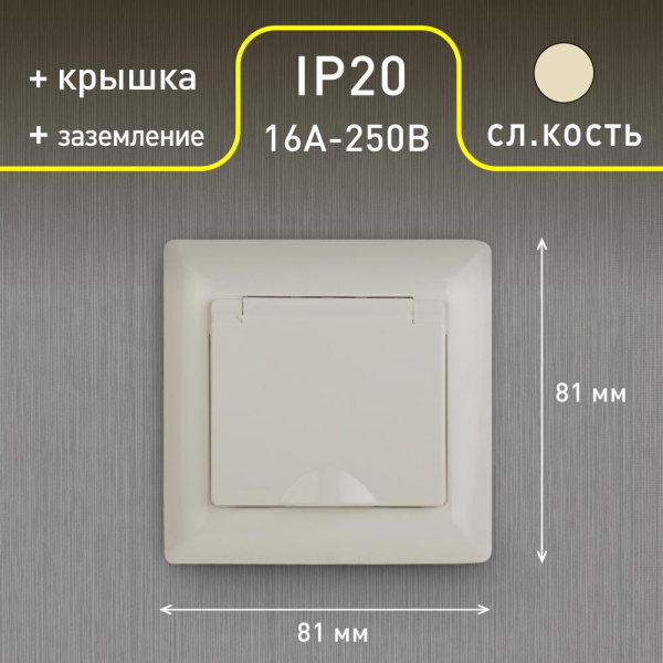 4-203-02 Intro Розетка 2P+E Schuko с крышкой, 16А-250В, СУ, Solo, сл.кость (10/100/2400)