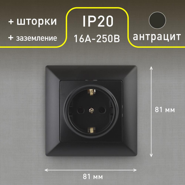 4-206-05 Intro Розетка 2P+E Schuko со шторками, 16А-250В, СУ, Solo, антрацит (10/200/2400)