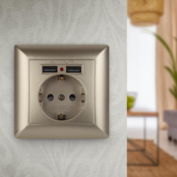 4-410-04 Intro Розетка P+E Schuko со шторками, 16А-250В + 2хUSB, СУ, Solo, шампань (10/100/2500)