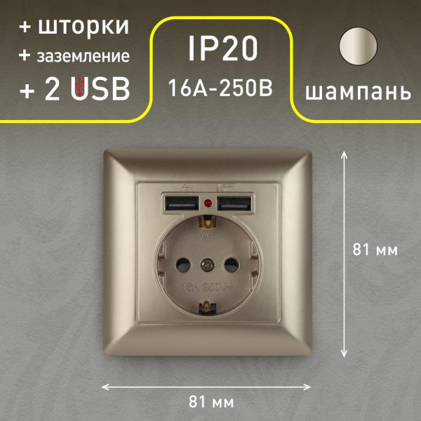 4-410-04 Intro Розетка P+E Schuko со шторками, 16А-250В + 2хUSB, СУ, Solo, шампань (10/100/2500)