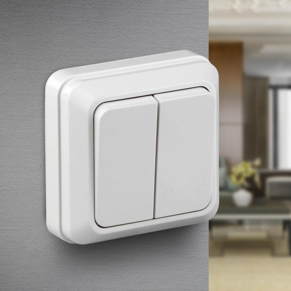 Выключатель Intro Quadro 2Э-104-01 двухклавишный, 10А-250В, IP20, ОУ, без монтажной пластины, белый