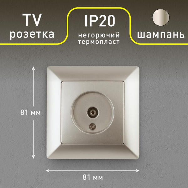 Розетка Intro Solo 4-301-04 TV одиночная, СУ, шампань