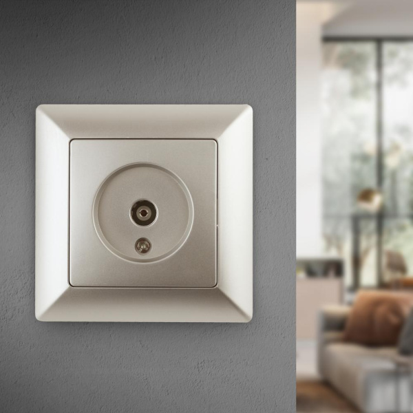 Розетка Intro Solo 4-301-04 TV одиночная, СУ, шампань