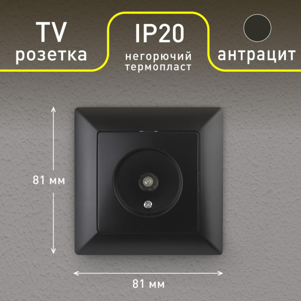 Розетка Intro Solo 4-301-05 TV одиночная, СУ, антрацит