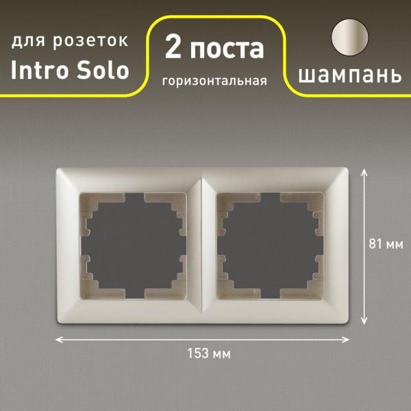 Рамка для розеток и выключателей Intro Solo 4-502-04 на 2 поста, СУ, шампань