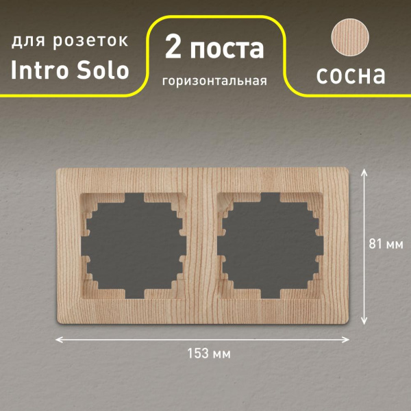 Рамка для розеток и выключателей Intro Solo 4-502-11 на 2 поста, СУ, Solo, сосна