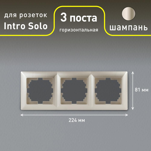 Рамка для розеток и выключателей Intro Solo 4-503-04 на 3 поста, СУ, шампань