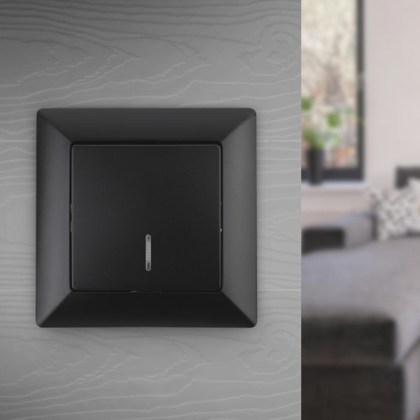 Выключатель Intro Solo 4-102-05 одноклавишный с подсветкой, 10А-250В, IP20, СУ, антрацит