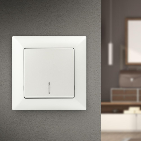 Выключатель Intro Solo 4-102-06 одноклавишный с подсветкой, 10А-250В, IP20, СУ, перламутр