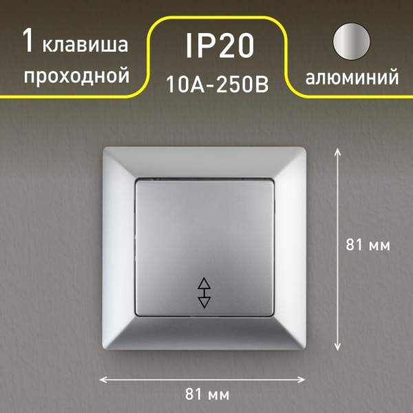 Переключатель Intro Solo 4-103-03 одноклавишный 10А-250В, IP20, СУ, алюминий