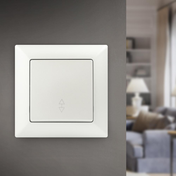 Переключатель Intro Solo 4-103-06 одноклавишный 10А-250В, IP20, СУ, перламутр