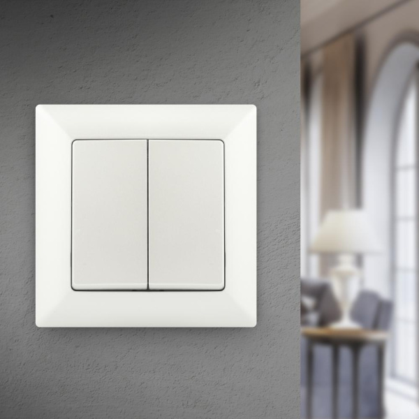 Выключатель Intro Solo 4-104-06 двухклавишный 10А-250В, IP20, СУ, перламутр