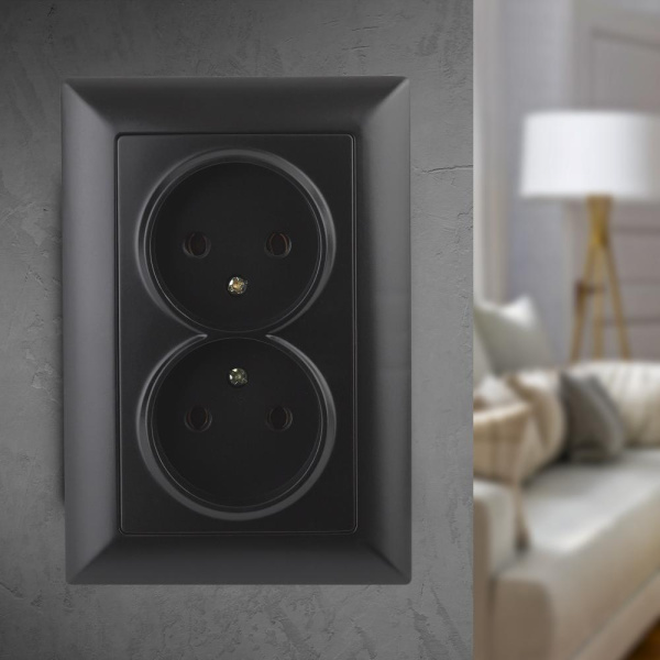 Розетка Intro Solo 4-204-05 без заземления двойная 16А-250В, IP20, СУ, антрацит