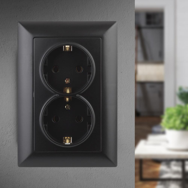 Розетка Intro Solo 4-205-05 с заземлением двойная 2X2P+E Schuko, 16А-250В, IP20, СУ, антрацит