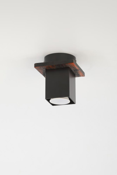 Светильник потолочный Rivoli Luise 3102-201 1 * GU10 50 Вт модерн