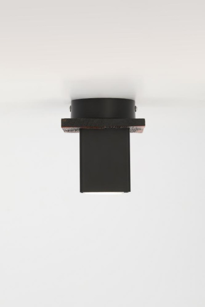 Светильник потолочный Rivoli Luise 3102-201 1 * GU10 50 Вт модерн