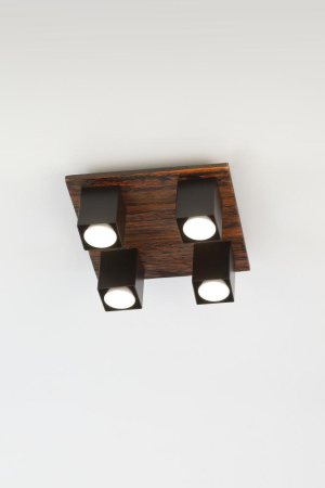 Светильник потолочный Rivoli Luise 3102-304 4 * GU10 50 Вт модерн