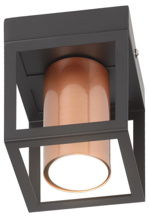 Светильник потолочный Rivoli Raffaela 5082-201 1 * GU10 25 Вт накладной для натяжных потолков лофт - кантри