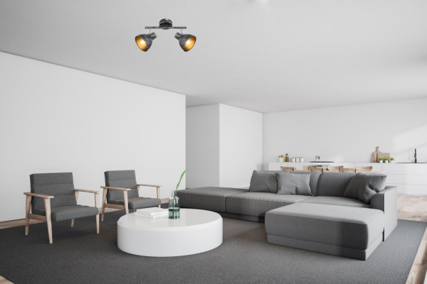 Светильник настенно-потолочный спот Rivoli Eho 7031-702 2 х E14 40 Вт поворотный