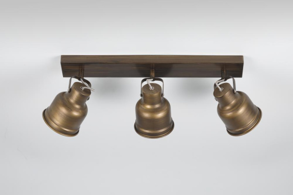 Светильник настенно-потолочный спот Rivoli Inessa 7035-703 3 х Е27 40 Вт поворотный