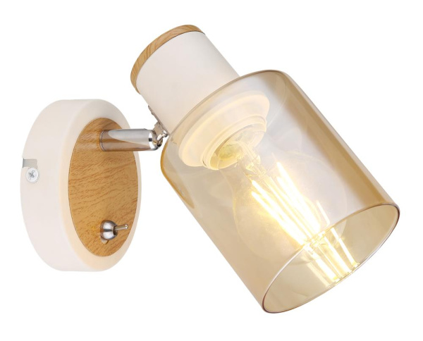 Светильник настенно-потолочный спот Rivoli Jamilly 7057-701 1 х Е27 40 Вт поворотный с выключателем