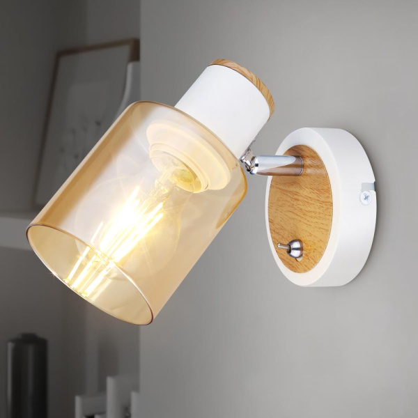 Светильник настенно-потолочный спот Rivoli Jamilly 7057-701 1 х Е27 40 Вт поворотный с выключателем