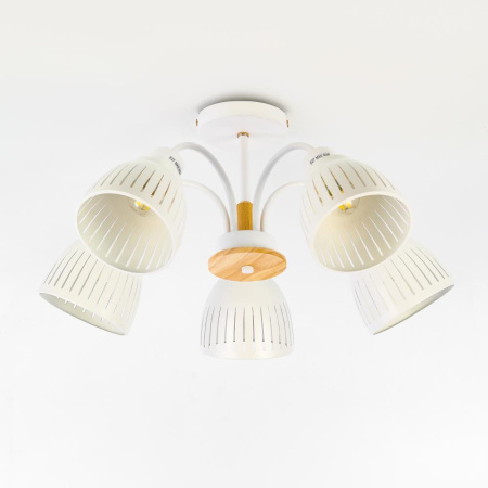 Люстра  Rivoli Lulu 9029-305 5 х E27 60 Вт модерн