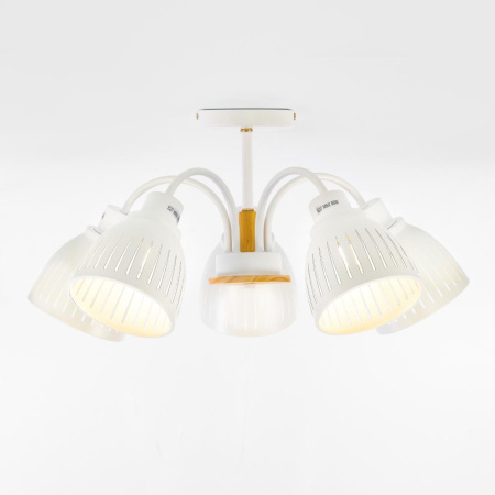 Люстра  Rivoli Lulu 9029-305 5 х E27 60 Вт модерн