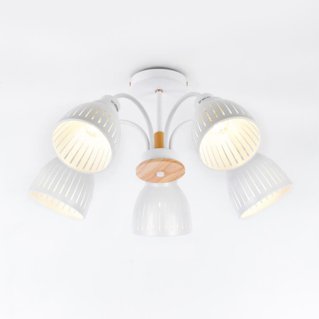 Люстра  Rivoli Lulu 9029-305 5 х E27 60 Вт модерн