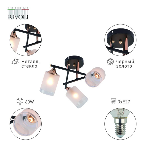 Люстра Rivoli Fiona 3163-303 3 х Е27 60 Вт модерн