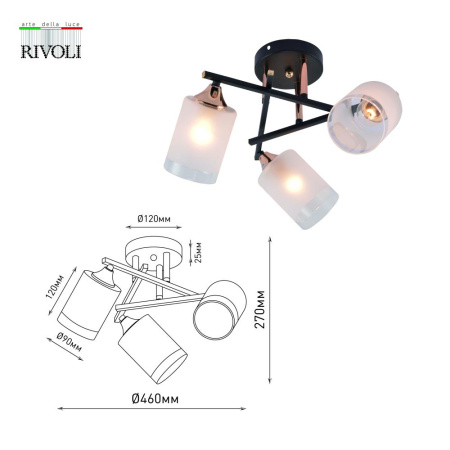 Люстра Rivoli Fiona 3163-303 3 х Е27 60 Вт модерн