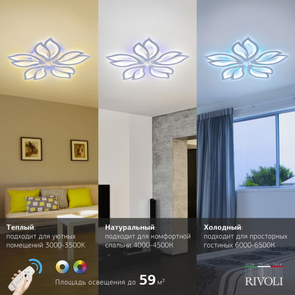 Светильник потолочный светодиодный Rivoli Claudia 6087-105 с пультом 110 Вт + 7 Вт 4000К - 6000К LED модерн