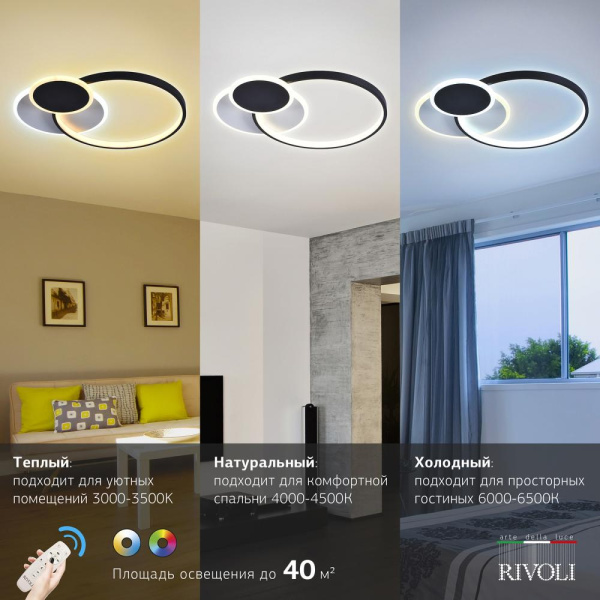Светильник потолочный светодиодный Rivoli Julia 6080-108 с пультом 80 Вт 4000К - 6000К LED модерн