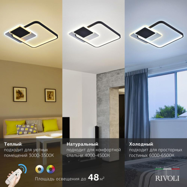 Светильник потолочный светодиодный Rivoli Andrea 6081-108 с пультом 96 Вт 4000К - 6000К LED модерн