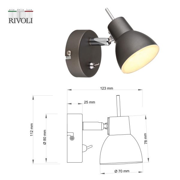 Светильник настенно-потолочный спот Rivoli Renata 6158-701 светодиодный GR LED 1х 4 Вт 3200К поворотный с выключателем