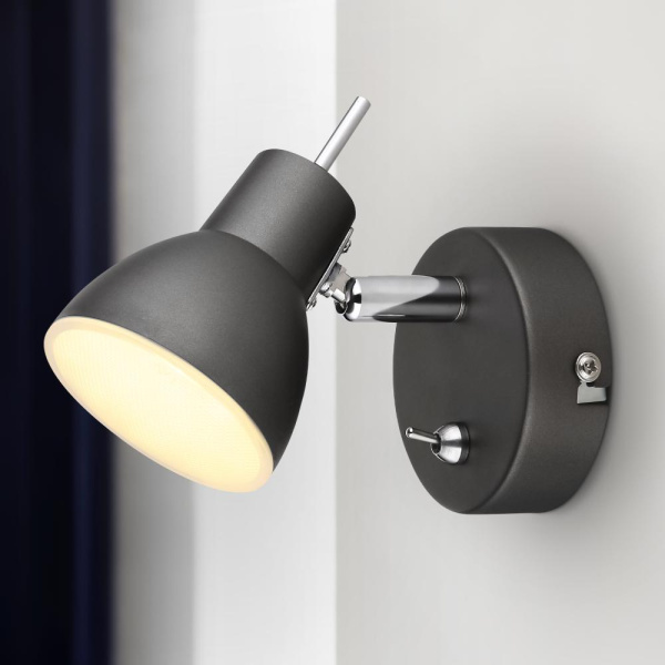 Светильник настенно-потолочный спот Rivoli Renata 6158-701 светодиодный GR LED 1х 4 Вт 3200К поворотный с выключателем