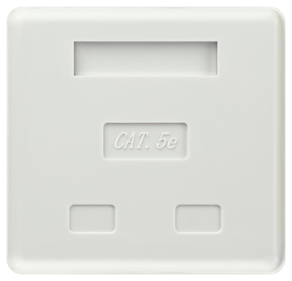 Компьютерная розетка ЭРА RJ-45 категория 5е неэкранированная 2-порта упаковка 30 шт