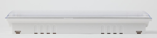 Аварийный светильник светодиодный ЭРА DPA-301-0-65 непостоянный 40LED 3ч IP65