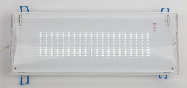 Аварийный светильник светодиодный ЭРА DPA-301-0-65 непостоянный 40LED 3ч IP65