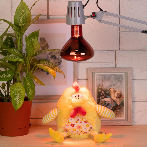 Инфракрасная лампа ЭРА ИКЗК 220-250 R127 для обогрева животных 250 Вт Е27