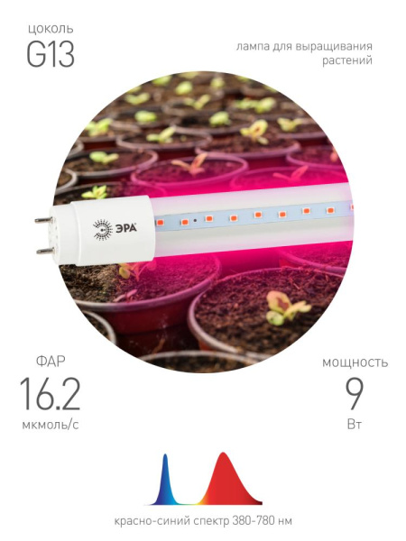 Фитолампа для растений светодиодная ЭРА FITO-9W-RB-Т8-G13-NL и мясных прилавков 9 Вт Т8 G13 красно-синего спектра