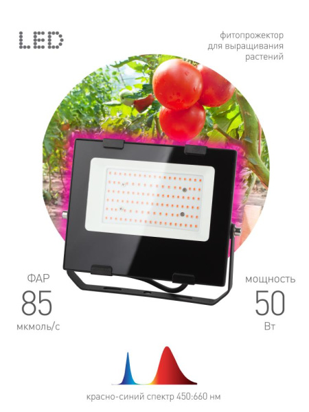 Фитопрожектор для растений светодиодный ЭРА FITO-50W-RB-LED для цветения и плодоношения красно-синего спектра 50 Вт