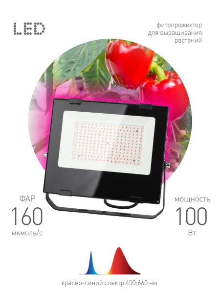 Фитопрожектор для растений светодиодный ЭРА FITO-100W-RB-LED для цветения и плодоношения красно-синего спектра 100 Вт