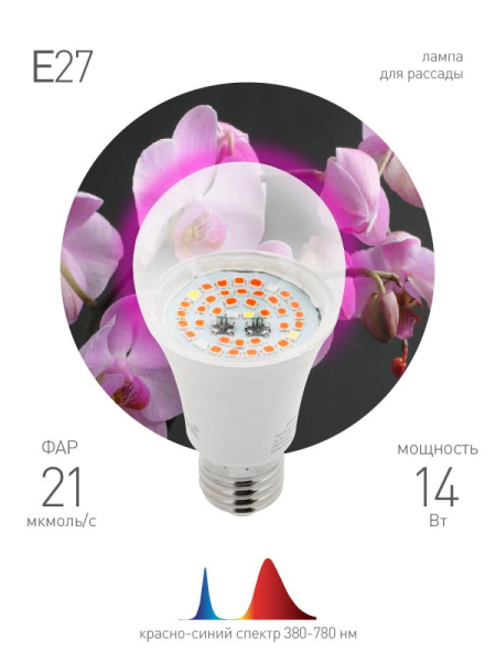 Фитолампа для растений светодиодная ЭРА FITO-14W-RB-E27 красно-синего спектра 14 Вт Е27