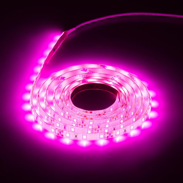 Светодиодная лента для растений ЭРА FITO-Strip Light-RB-2m красно-синего спектра, 2 м, IP65