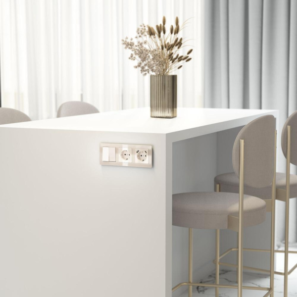 W1171043/ Розетка с заземлением (айвори акрил) W1171043