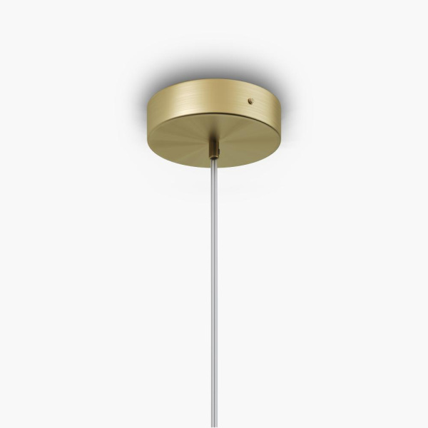 Подвесной светильник Maytoni MOD302PL-01CG1