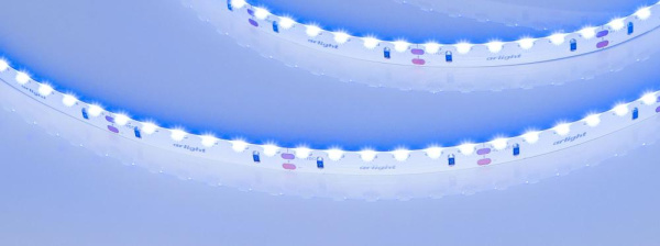 Лента RS-S120-8mm 24V Blue (9.6 W/m, IP20, 3014, 5m) (Arlight, боковое свечение)