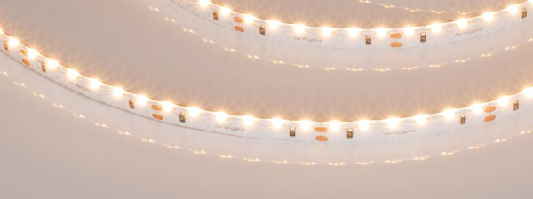 Лента RS-S120-8mm 24V Warm2700 (9.6 W/m, IP20, 3014, 5m) (Arlight, боковое свечение)