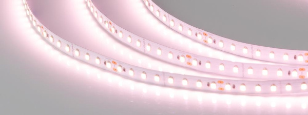 Лента RTW-5000SC 24V Warm SP2900-Meat 10mm (2835, 112 LED/m, SHOP) (Arlight, Открытый)